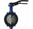 Затвор дисковый поворотный Giacomini DN80 R59WY008 1