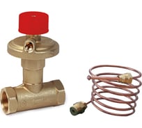 Регулятор дифференциального давления Giacomini DN15 - 1/2 R206CY203