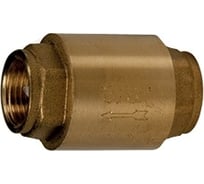 Обратный клапан дисковый Giacomini муфтовый 2 1/2" R60Y039