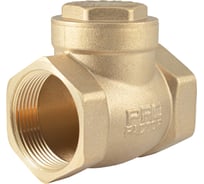 Обратный клапан PROFACTOR горизонтальный, в/в 1 1/4" PF CV 249.32
