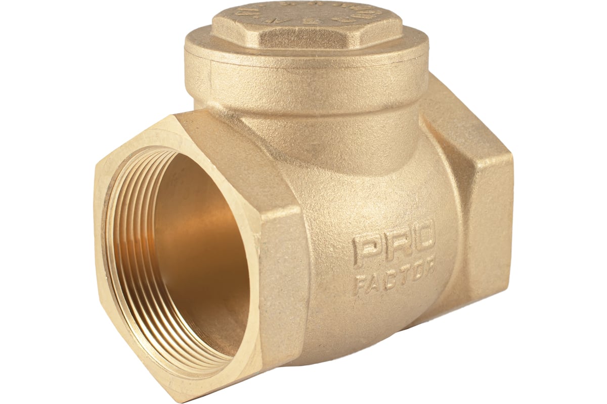 Обратный клапан PROFACTOR горизонтальный, в/в 2" PF CV 249.50 ...