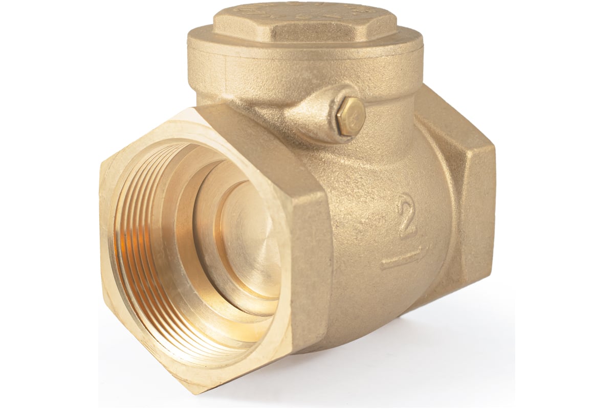 Обратный клапан PROFACTOR горизонтальный, в/в 2\" PF CV 249.50 ...