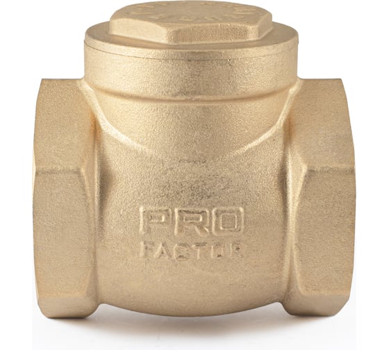 Обратный клапан PROFACTOR горизонтальный, в/в 2" PF CV 249.50