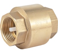 Обратный клапан PROFACTOR с ПВХ штоком, в/в 3/4" PF CV 241P