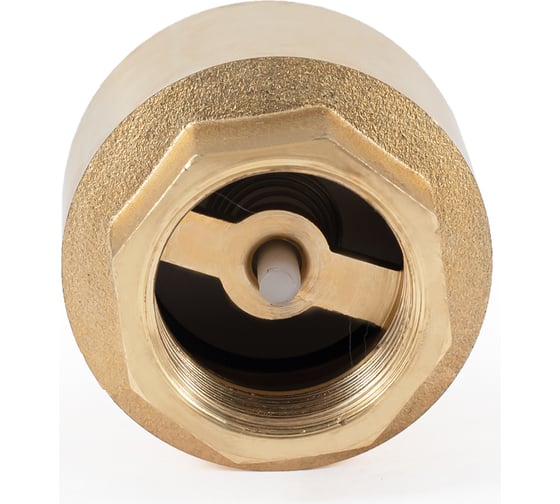 Обратный клапан PROFACTOR с ПВХ штоком, в/в 1/2" PF CV 240P