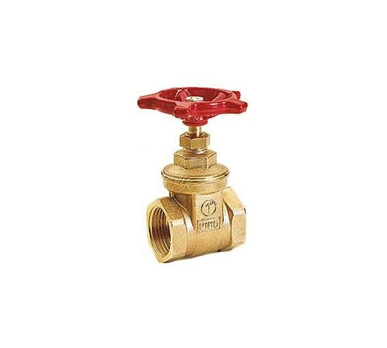 Запорный клапан с маховиком Giacomini нехромированный, ВР 2” R55Y008