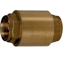 Обратный клапан Giacomini дисковый, муфтовый 2 R60Y038