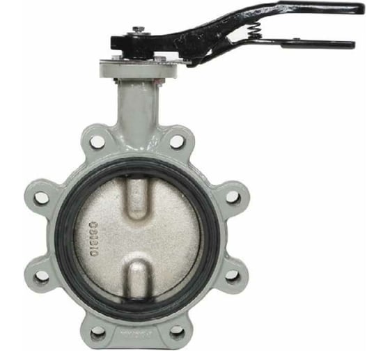 Дисковый поворотный затвор с проушинами Giacomini DN65 R59FLX006 107-5412 1