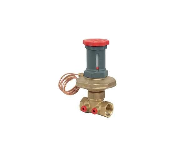 Регулятор дифференциального давления Giacomini DN50 - 2 R206CY108 1