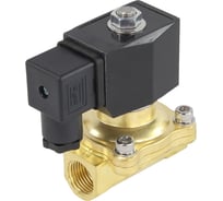 Электромагнитный клапан соленоидный двухходовой DN.ru VS2W-200N-NC Ду15 Ру10 24В D130-01017 23597235