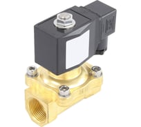 Клапан электромагнитный DN.ru VS2W-200N-NC Ду25 Ру7 латунь, прямого действия, 24В DC D130-01019