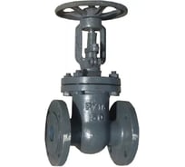 Задвижка стальная DN.ru ЗКЛ2-16 TYV Ду200 Ру16 D040-01709