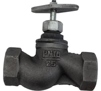 Запорный клапан DN.ru 15кч18п1 Ду25 Ру16 чугунный муфтовый D090-00235