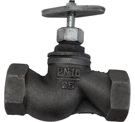 Запорный клапан DN.ru 15кч18п1 Ду25 Ру16 чугунный муфтовый D090-00235