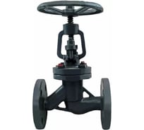 Сальниковый запорный клапан DN.ru 15с65нж Ду15 Ру16 стальной D090-00686
