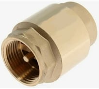 Обратный клапан RTP латунный, внутренняя/внутренняя резьба 1 желтый 34431