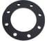 Свободный фланец AQUAVIVA DN 110 PN16 FLC1100 40984 3