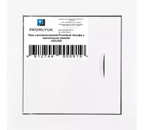Сантехнический люк с магнитным замком Promlyuk Альфа 200x200 70200200