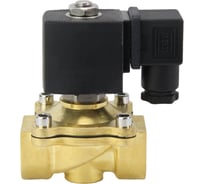 Электромагнитный соленоидный двухходовой клапан DN.ru dw31 ду20 ру10 D130-02652