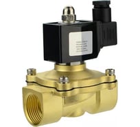 Электромагнитный клапан DN.ru двухходовый VS2W-300E-NC Ду50 Ру10 220В D130-01711 24559365