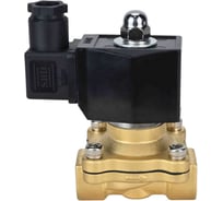 Клапан электромагнитный DN.ru VS2W-300V-NO Ду25 Ру10 двухходовой, латунь, VITON, 220В AC D130-01741