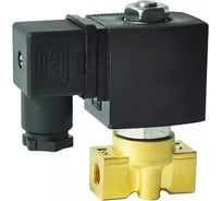 Электромагнитный клапан DN.ru соленоидный, двухходовый миниатюрный -dhsm31 ду6-3.0 ру10 D130-01972