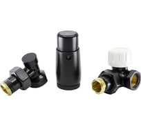 Комплект SCHLOSSER STANDARD MINI трехосевой правый DN15 GZ 1/2 GW 1/2 602200066 Ral 9005 matt