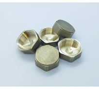 Заглушка BRASSCO Premium G1 ВР, 5 шт 4962251