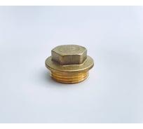 Заглушка BRASSCO Premium G1 НР 4962268