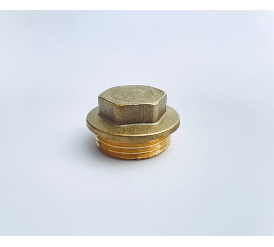 Заглушка BRASSCO Premium G1 НР 4962268