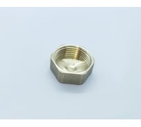 Заглушка BRASSCO Premium G1 ВР 4962244