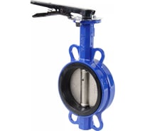 Дисковый поворотный затвор DN.ru Ду100 Ру16 D050-04714