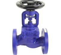 Клапан запорный сильфонный DN.ru V234A Ду32 Ру16 чугунный, фланцевый D090-00710