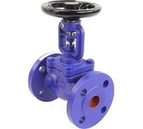 Клапан запорный сильфонный DN.ru V234A Ду32 Ру16 чугунный, фланцевый D090-00710