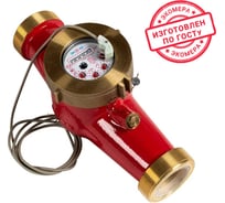 Счетчик воды ЭКО-М ЭКОМЕРА-50И универсальный импульсный Э-50УИЛ-300-СК
