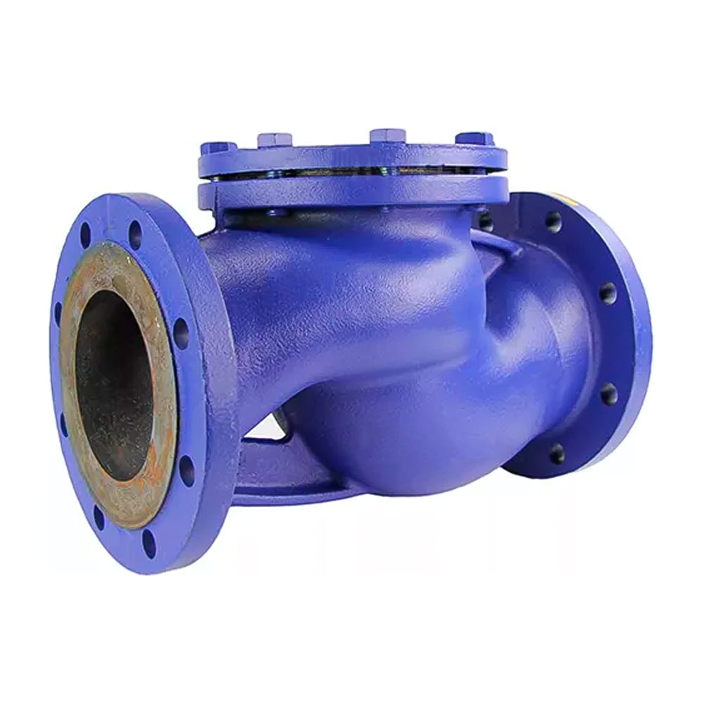 Обратный подъемный клапан DN.ru 287a ду80 ру16 фланцевый, чугунный D100 ...