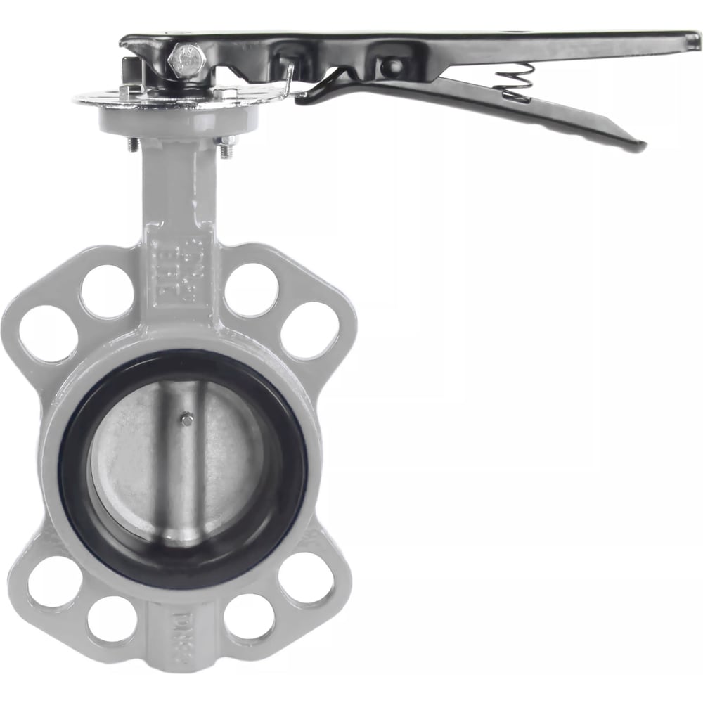 Дисковый поворотный затвор DN.ru 316l-316l-viton ду150 ру16, уплотнение ...