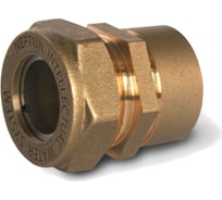 Муфта IWS F 20 х 3/4" EF Neptun