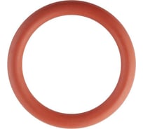 Уплотнительное кольцо ROMMER Rss-0028-000022 из fpm, 22 RG0091KSNPHVGF