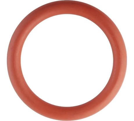 Уплотнительное кольцо ROMMER Rss-0028-000018 из fpm, 18 RG0091KSNPHQOE