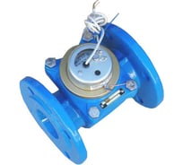 Счетчик х/в Тепловодомер имп ВСХНд-50 Ду50 Тдо50С