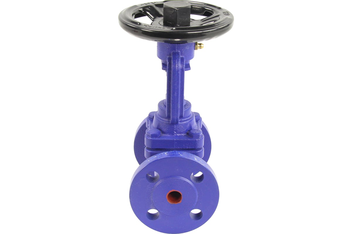 Запорный клапан DN.ru сильфонный v234a ду25 ру16, чугунный фланцевый ...?