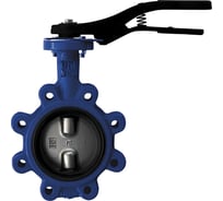 Дисковый поворотный затвор с проушинами Giacomini DN150 R59FLY015