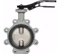 Дисковый поворотный затвор с проушинами Giacomini DN125 R59FLX012