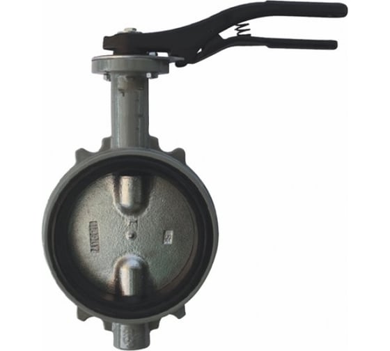 Дисковый поворотный затвор Giacomini DN125 R59WX012 1