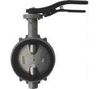 Дисковый поворотный затвор Giacomini DN100 R59WX010