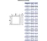 Люк ревизионный d cmo base EVECS 400x400 скрыт.монтаж съемный алюминий, 90-08129 D4040 ceramo base 6