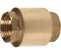 Обратный клапан Terma 2" (33946) 33026