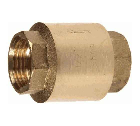Обратный клапан Terma 2" (33946) 33026 1