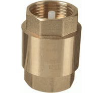 Обратный клапан Terma 3/4" (33942) 33022